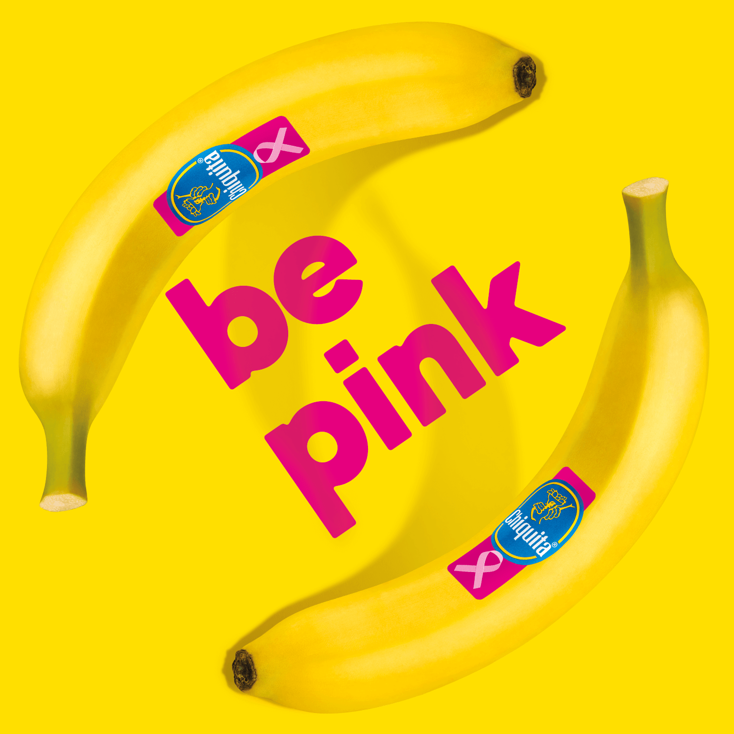 Pink Sticker Chiquita