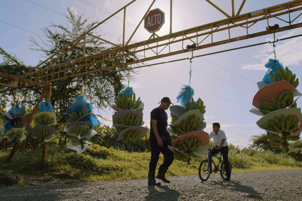 Chiquita kondigt een nieuw bijgewerkt duurzaamheidsrapport aan