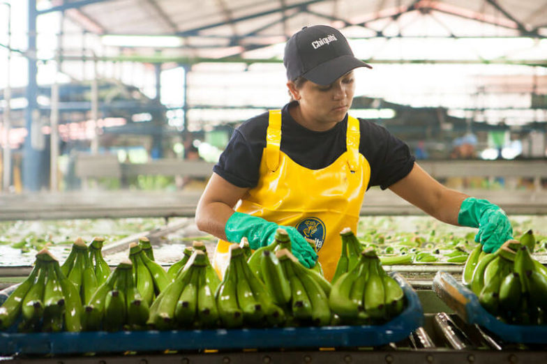 Het beheer van de watervoetafdruk op plantages van Chiquita levert per jaar een besparing van 1,8 miljard liter water op