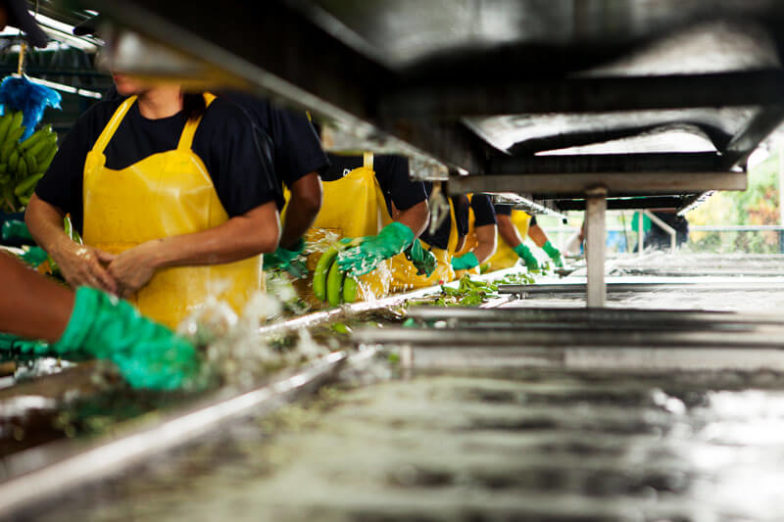Het beheer van de watervoetafdruk op plantages van Chiquita levert per jaar een besparing van 1,8 miljard liter water op