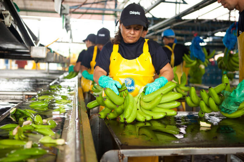 Het beheer van de watervoetafdruk op plantages van Chiquita levert per jaar een besparing van 1,8 miljard liter water op