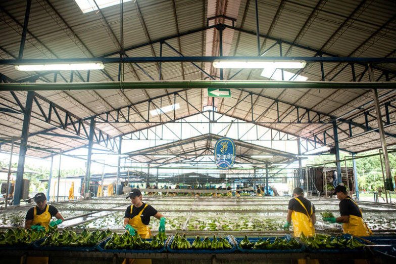 Het beheer van de watervoetafdruk op plantages van Chiquita levert per jaar een besparing van 1,8 miljard liter water op