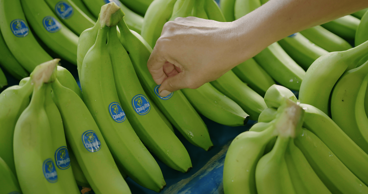 Chiquita en de VN-doelstellingen voor duurzame ontwikkeling: onze toewijding voor een duurzame planeet